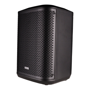 Professional 8-Inch Portable Speaker Model Name- PT880BE