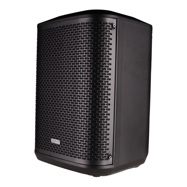 Professional 8-Inch Portable Speaker Model Name- PT880BE