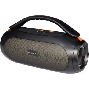 Portable Party Speaker Model Name HJ-111S