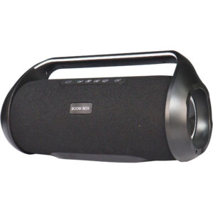 Portable Party Speaker Model Name HJ-116S