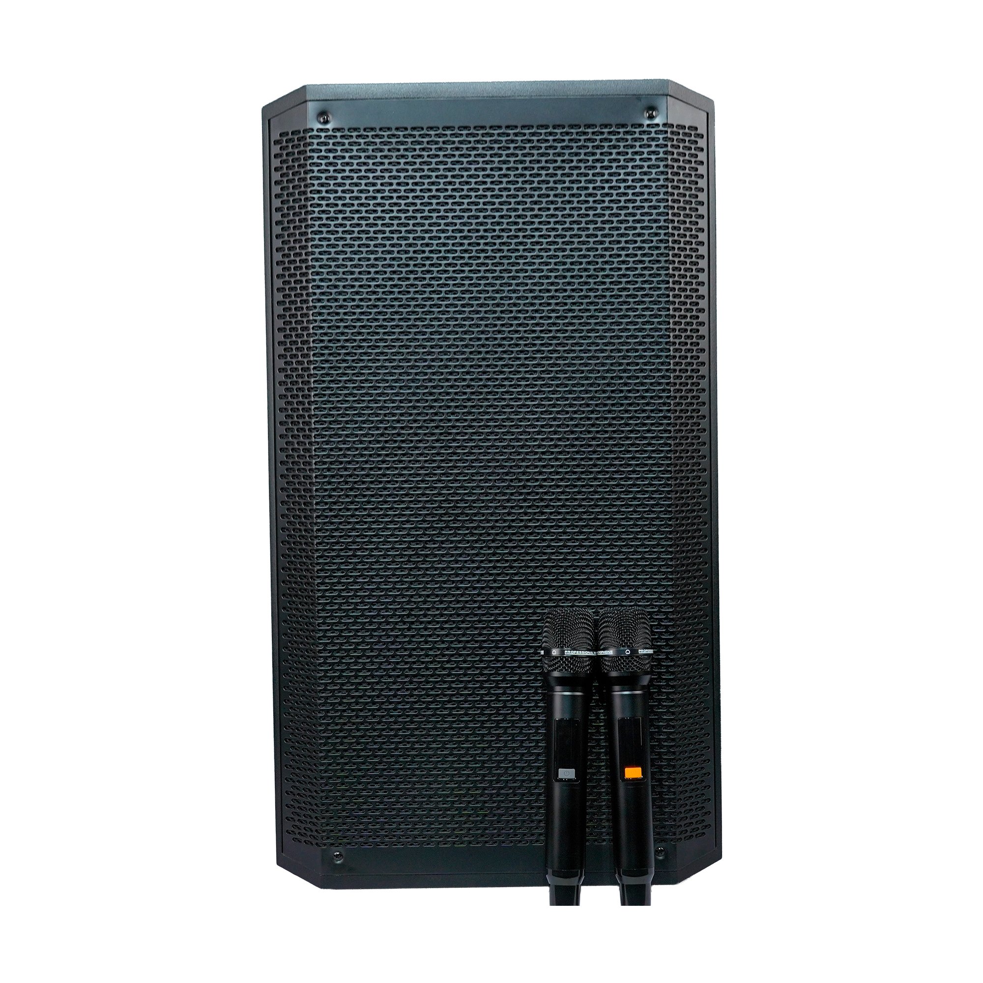 Portable Party Speaker Model Name HJ-1501
