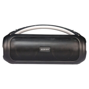 Portable Party Speaker Model Name HJ-222S