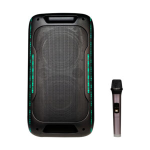Portable Party Speaker Model Name HJ-608